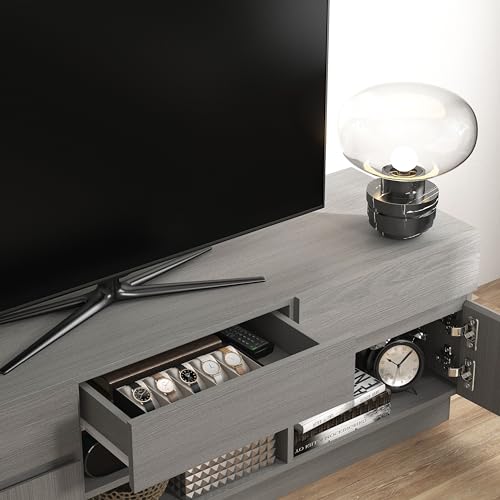 Galano Anderson TV-Möbel, Entertainment-Center für Fernseher bis zu 60 Zoll, TV-Möbel mit 2 Türen, TV-Ständerschrank für Wohnzimmer, großer Stauraum