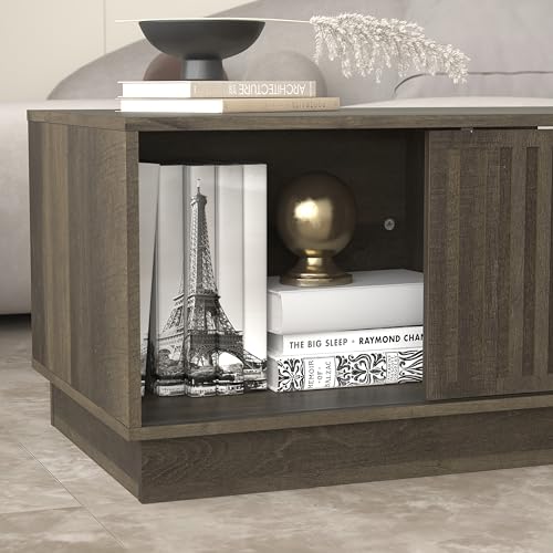 Galano Ryuki Coffee Table - Modern Distressed Oak Finish - Storage Cabinet for Entryway - Foyer - Living Room - Space Saving