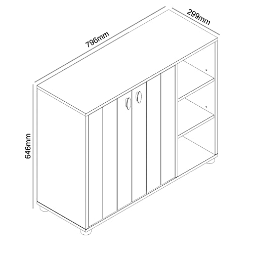 Galano Shoe Cabinet, 2 Door Shoe Cabinet with Shelves, Modern Shoe Rack, Standing Shoe Organizer for Home, Office