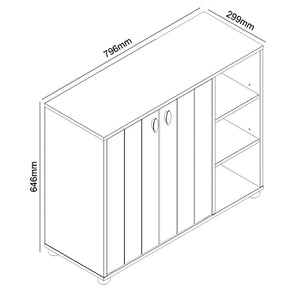 Galano Shoe Cabinet, 2 Door Shoe Cabinet with Shelves, Modern Shoe Rack, Standing Shoe Organizer for Home, Office