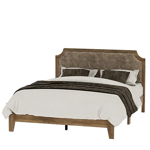 Galano Annifer Wood Platform Queen Bed Frame with Cushion Headboard, Mattress Foundation with Wood Slat Support, No Box Spring Needed, 62.99" L x 84.49" W x 41.54" H, Knotty Oak