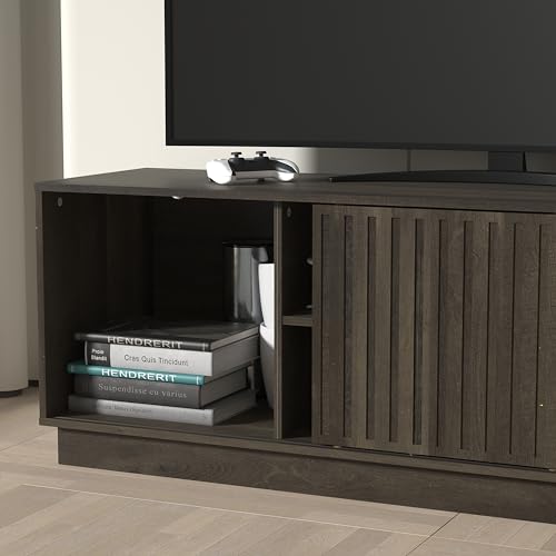 Galano Ryuki 2 Door TV Unit, Entertainment Centre for up to 65" TV, 150cm TV Unit with 2 Doors, TV Stand Cabinet for Living Room, Large Storage