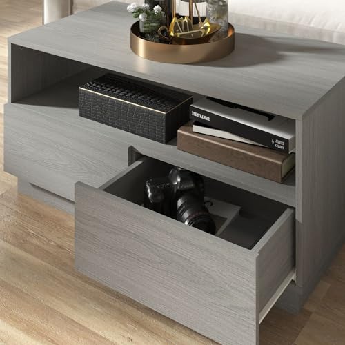 Galano Anderson Coffee Table - 2 Drawer Storage Unit - Engineered Wood Storage Cabinet, Rectangular Living Room Table with Storage