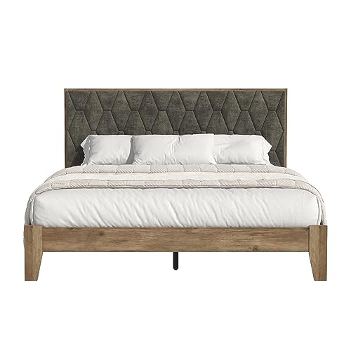 Galano Tancus Platform Queen Bed Frame with Cushion Headboard, Mattress Foundation with Wood Slat Support, No Box Spring Needed, 64.17" L x 85.16" W x 40.24" H, Knotty Oak