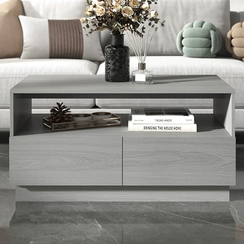 Galano Anderson Coffee Table - 2 Drawer Storage Unit - Engineered Wood Storage Cabinet, Rectangular Living Room Table with Storage