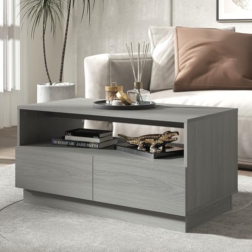 Galano Anderson Coffee Table - 2 Drawer Storage Unit - Engineered Wood Storage Cabinet, Rectangular Living Room Table with Storage