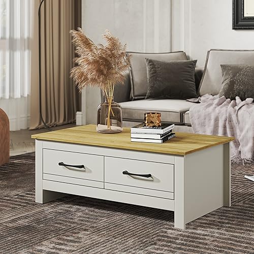 Galano Limestone Coffee Table - 2 Drawer Storage Unit - Engineered Wood Storage Cabinet, Rectangular Living Room Table with Storage