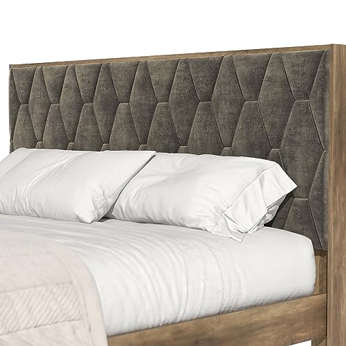 Galano Tancus Platform Queen Bed Frame with Cushion Headboard, Mattress Foundation with Wood Slat Support, No Box Spring Needed, 64.17" L x 85.16" W x 40.24" H, Knotty Oak