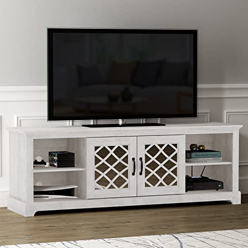 Galano Millicent 2 Door TV Cabinet, Media Storage, TV Cabinet, Living Room Storage, Shelves Entertainment Center, Living Room Media Console Cabinet Stand with 2 Doors and Shelves